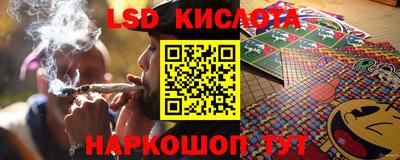 прущие грибы Ярославль