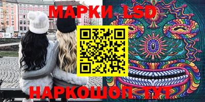 прущие грибы Ярославль