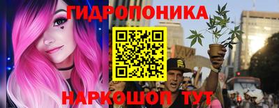прущие грибы Ярославль