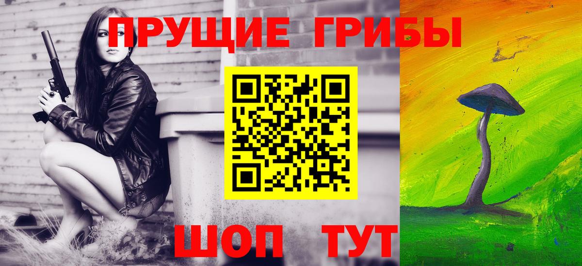 Валуйки  Псилоцибиновые грибы Psilocybine cubensis  Вход с VPN 
