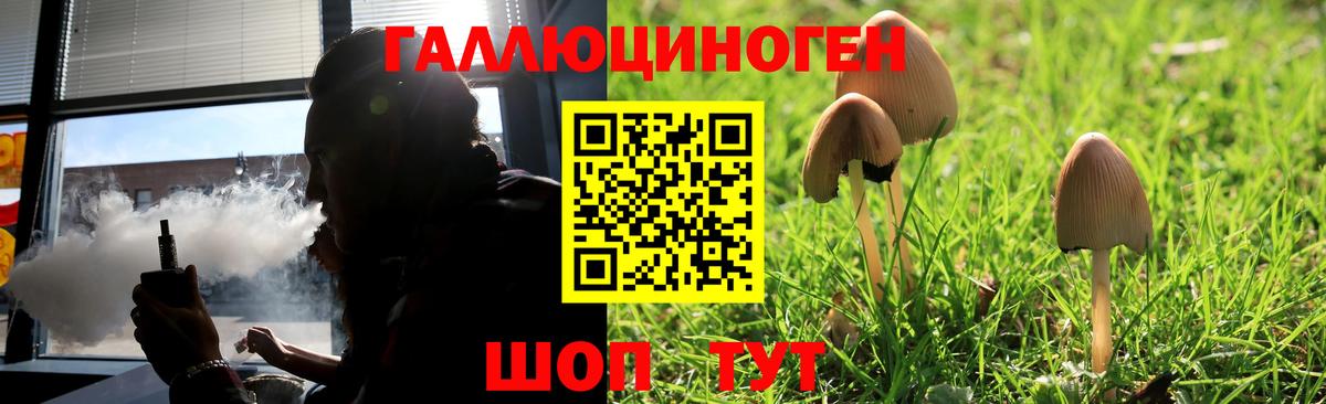 Галлюциногенные грибы Psilocybine cubensis Валуйки